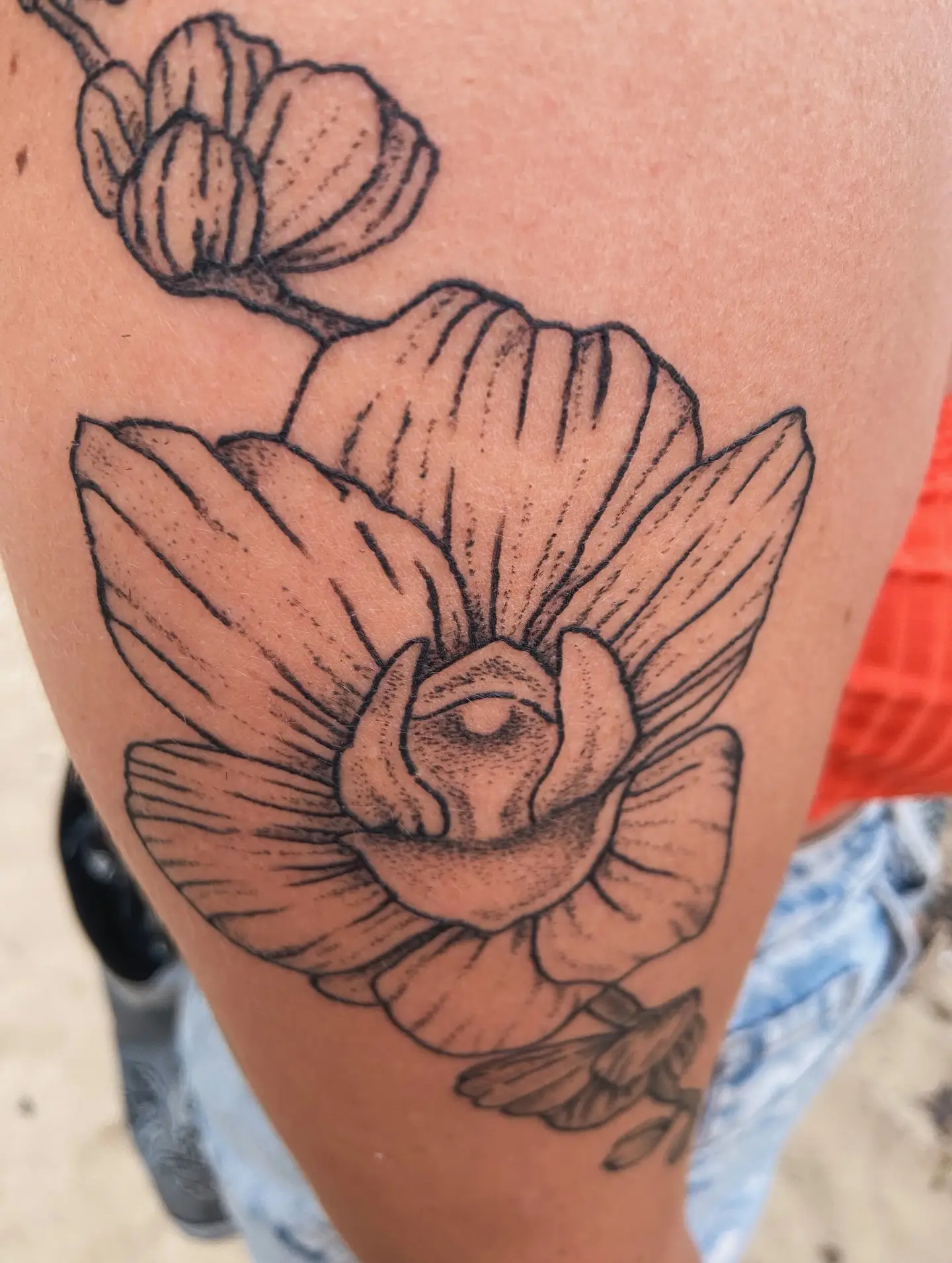 Orquídea botanica — tatuaje