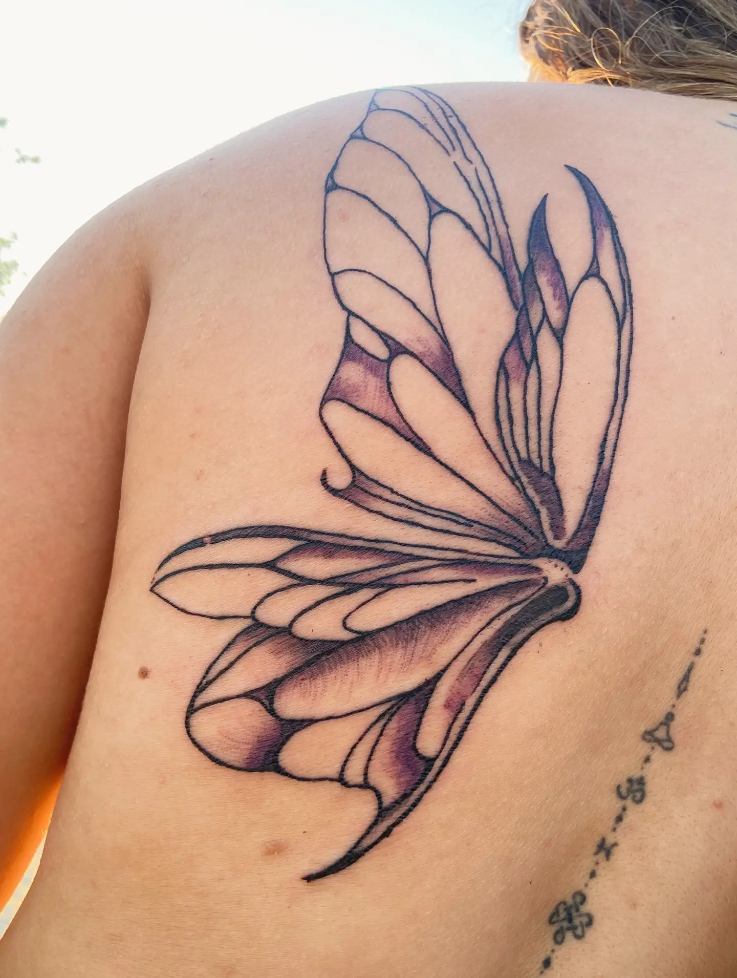 Mariposa — ilustración